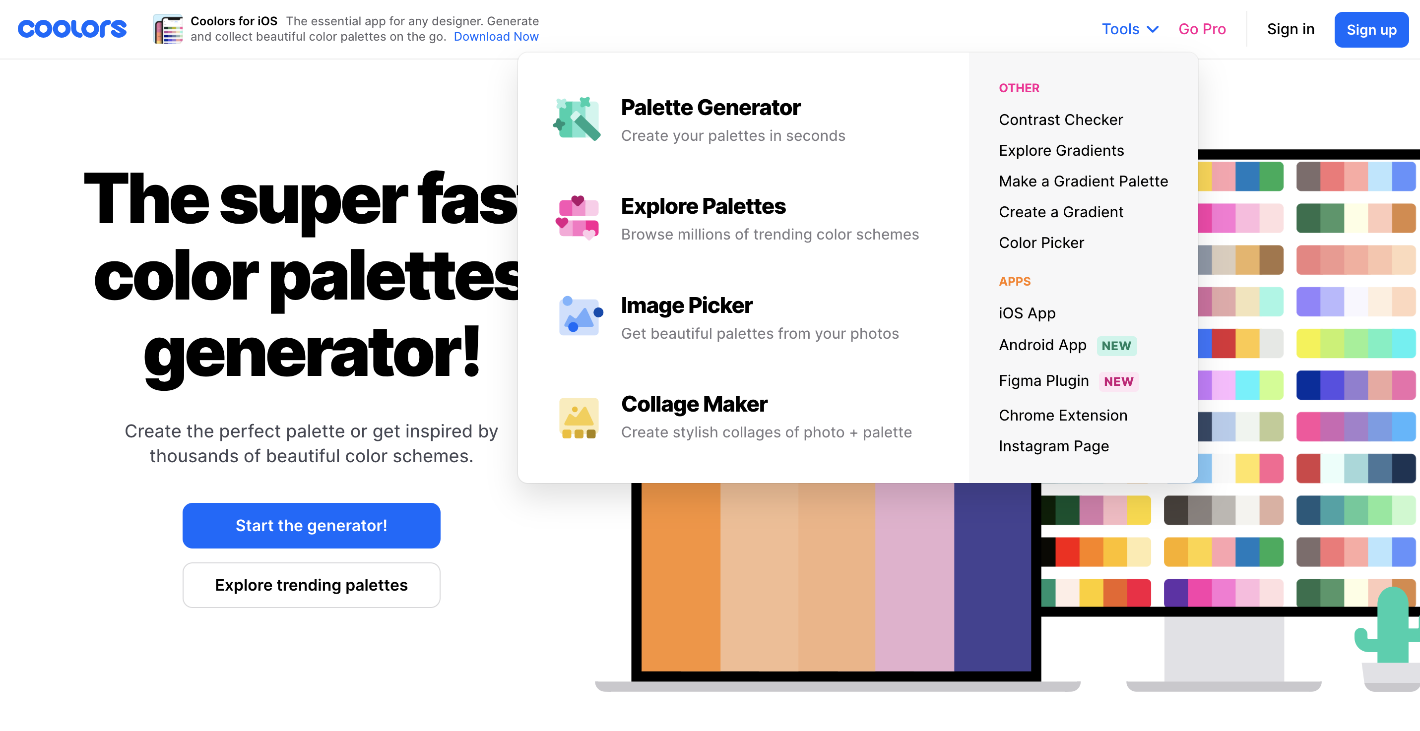 coolors site